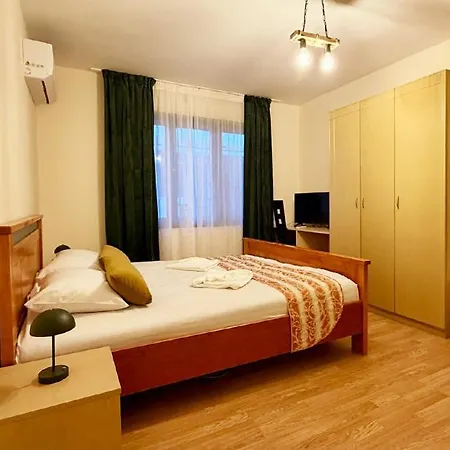 арт спектър Pensiune 4*